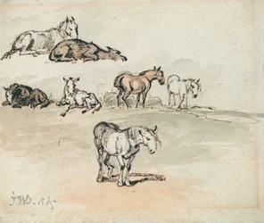 Studies of Horses